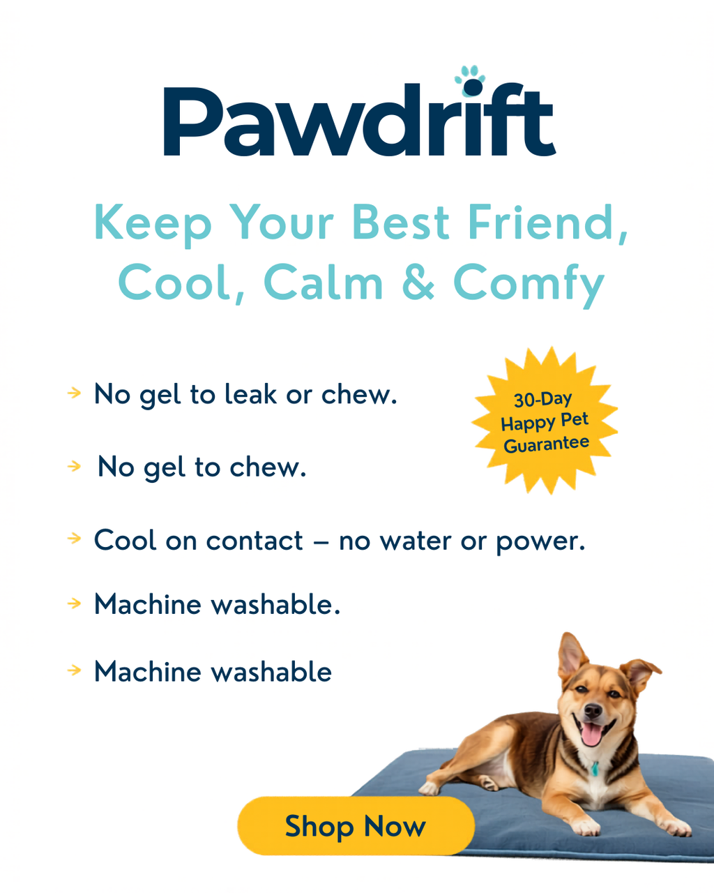 Pawdrift self-cooling ice-silk pet mat promo